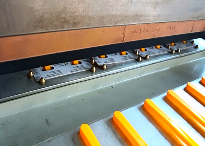 Paper PVC Automatic Blister Packaging Machine For Ear Stud Set Box Blister Packaging
